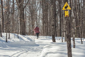 Skiing the Rabbit trail